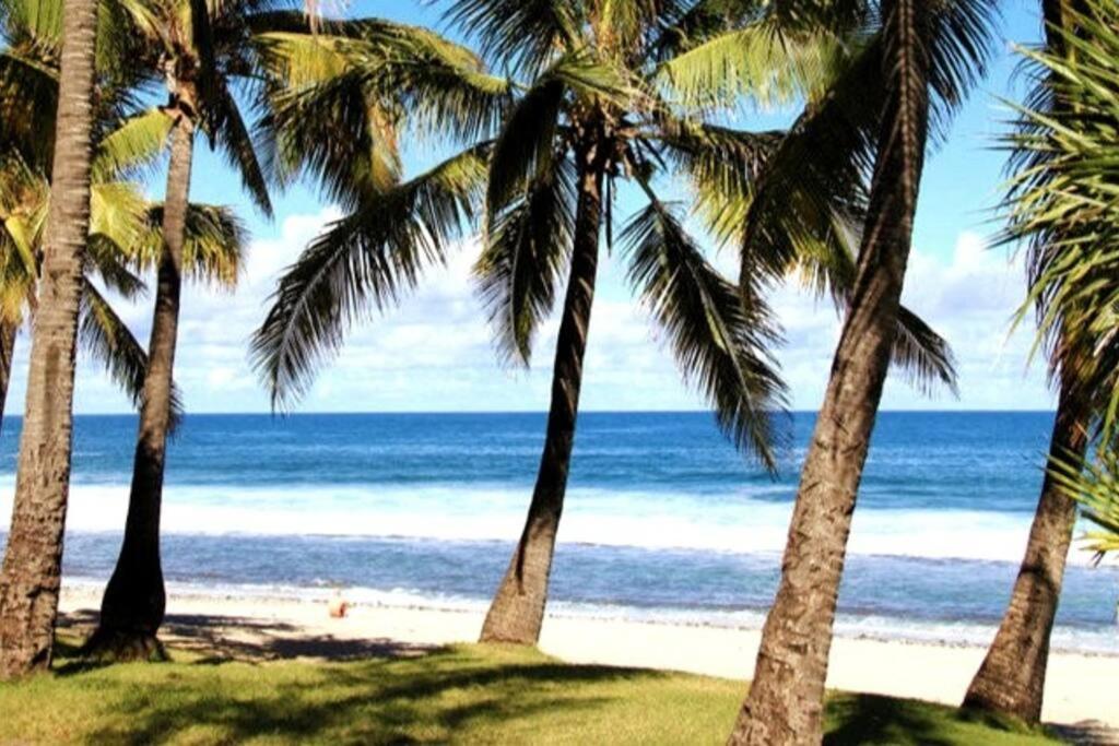 Maison De Vacances, Decouvrir Le Sud De La Reunion Petite Île Εξωτερικό φωτογραφία